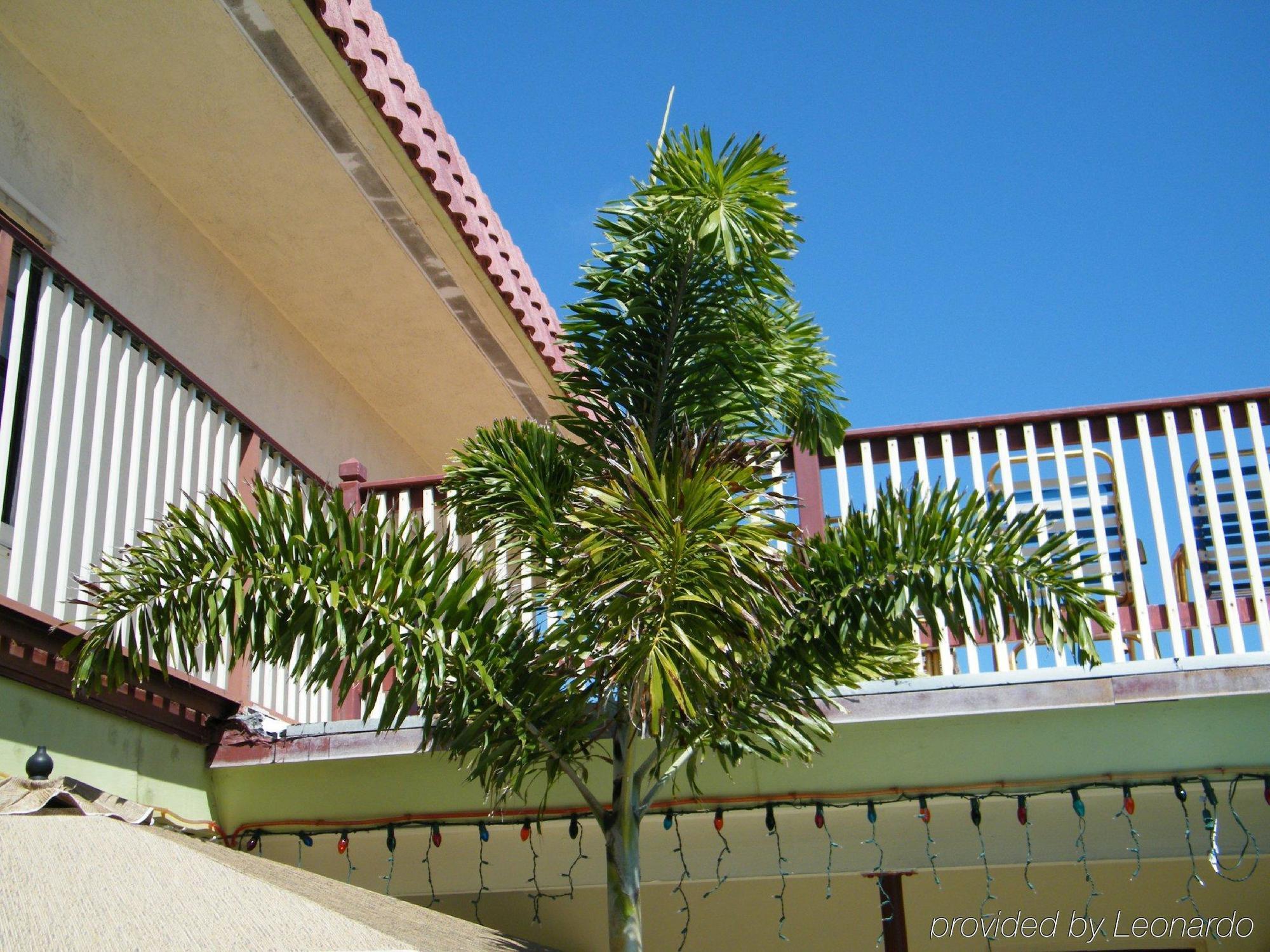 Tropicaire Resort Лодердейл-бай-Си Экстерьер фото